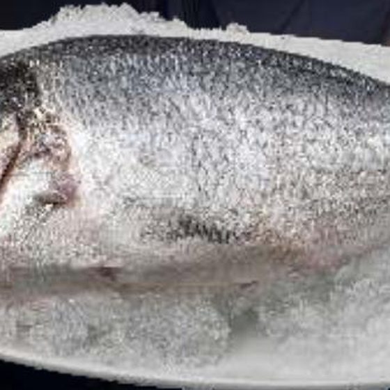 Dourada Fresca